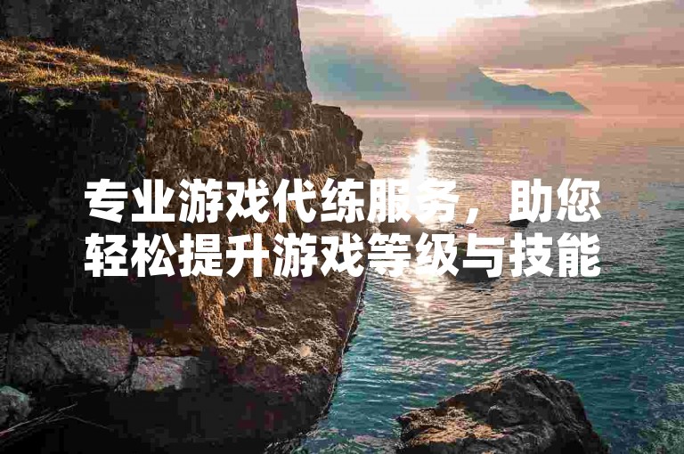 专业游戏代练服务，助您轻松提升游戏等级与技能。