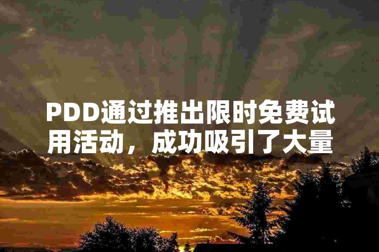PDD通过推出限时免费试用活动，成功吸引了大量新用户注册并体验其网站服务。