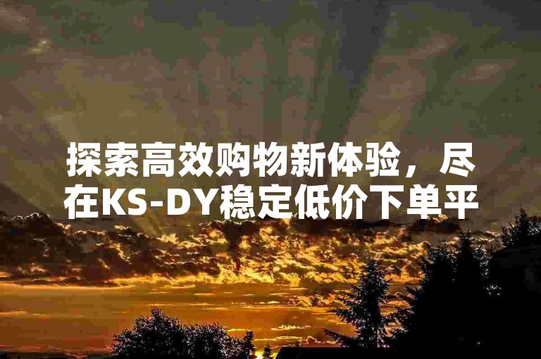 探索高效购物新体验，尽在KS-DY稳定低价下单平台，享受超值优惠。