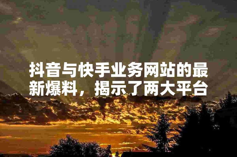 抖音与快手业务网站的最新爆料，揭示了两大平台在人气业务方面的激烈竞争。