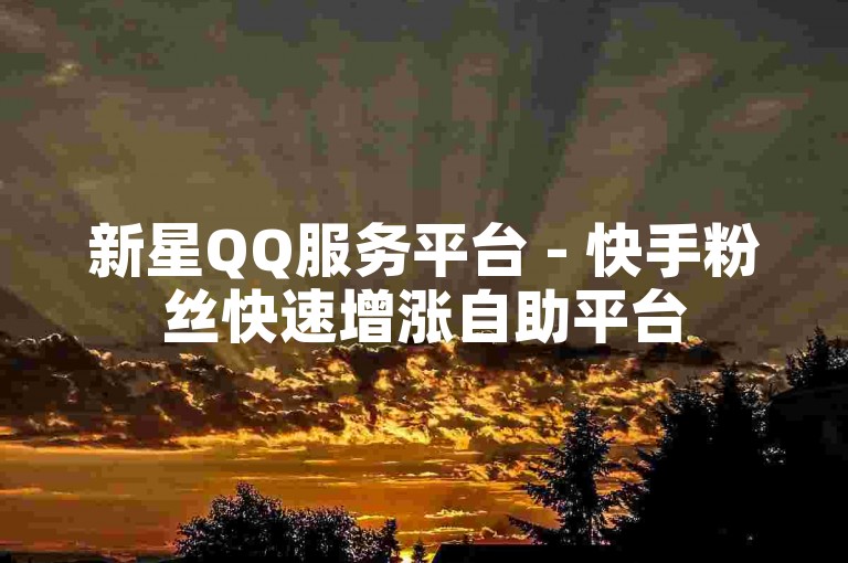 新星QQ服务平台 - 快手粉丝快速增涨自助平台