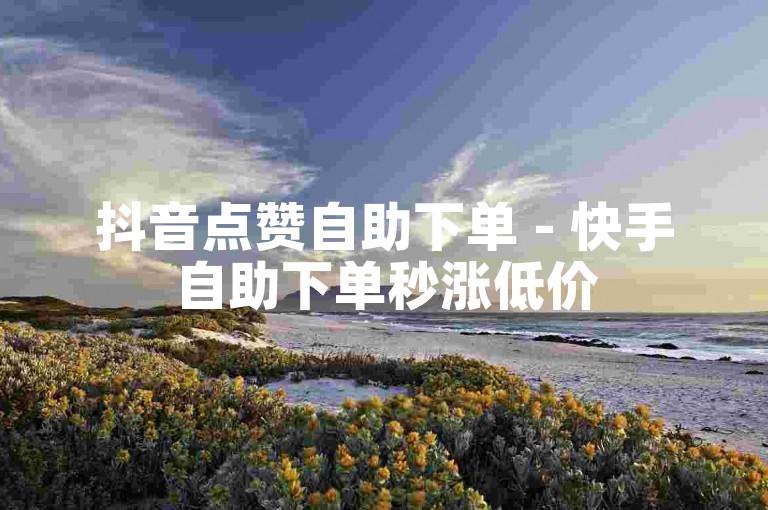 抖音点赞自助下单 - 快手自助下单秒涨低价