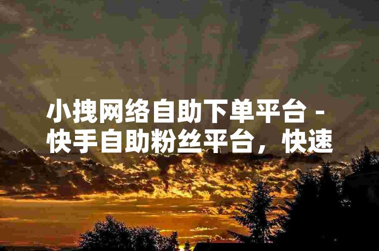 小拽网络自助下单平台 - 快手自助粉丝平台，快速提升人气。
