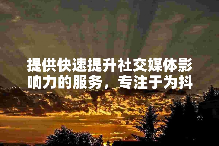 提供快速提升社交媒体影响力的服务，专注于为抖音用户带来经济实惠的粉丝增长方案。