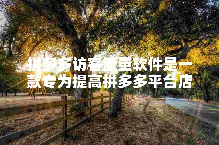 拼多多访客流量软件是一款专为提高拼多多平台店铺访问量而设计的有效工具。