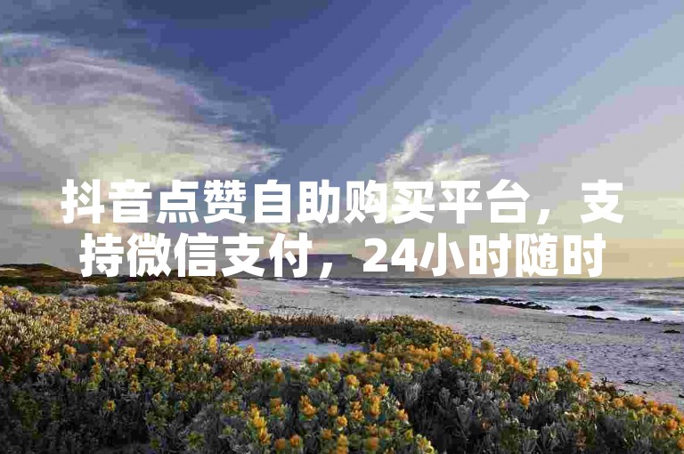 抖音点赞自助购买平台，支持微信支付，24小时随时下单。