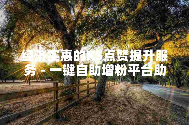 经济实惠的KS点赞提升服务 - 一键自助增粉平台助力直播人气飙升
