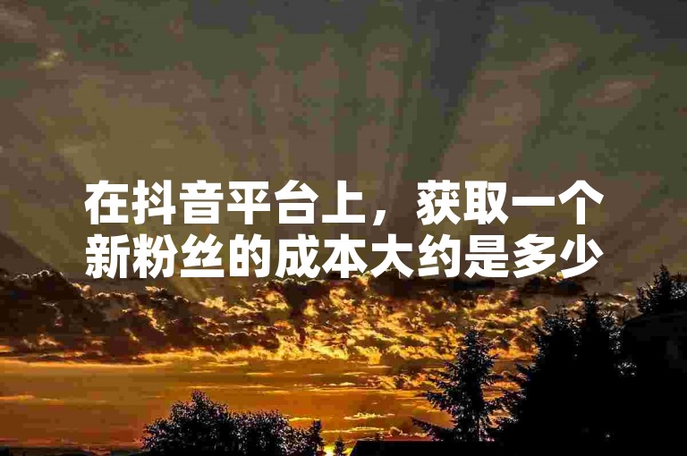 在抖音平台上，获取一个新粉丝的成本大约是多少人民币。