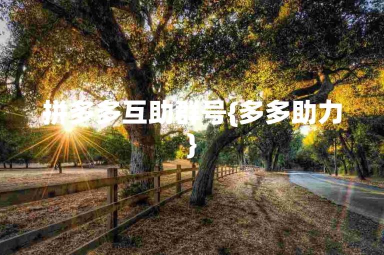 拼多多互助群号{多多助力}