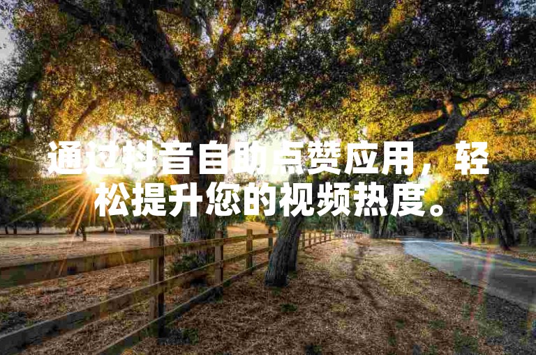 通过抖音自助点赞应用，轻松提升您的视频热度。