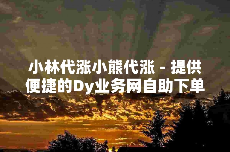 小林代涨小熊代涨 - 提供便捷的Dy业务网自助下单服务。