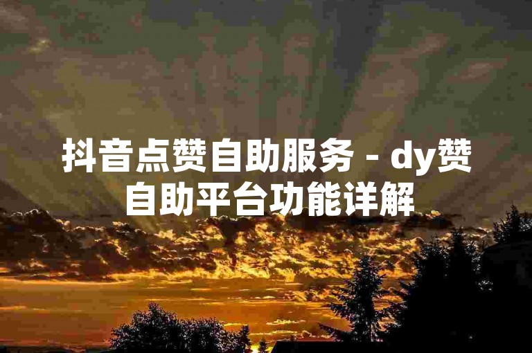 抖音点赞自助服务 - dy赞自助平台功能详解