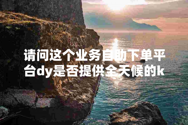 请问这个业务自助下单平台dy是否提供全天候的ks下单服务？