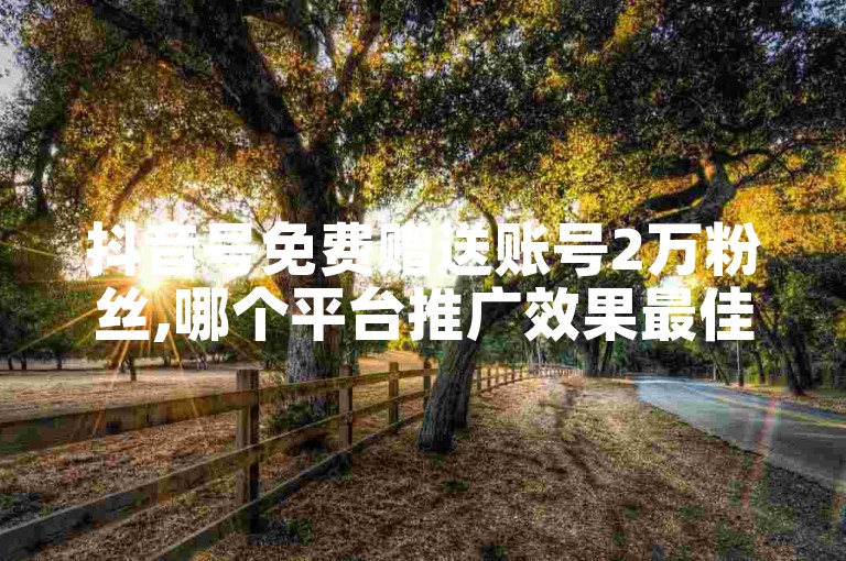 抖音号免费赠送账号2万粉丝,哪个平台推广效果最佳 - 微信朋友圈广告投放平台官网 - 哔哩哔哩启动