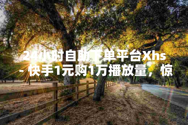 24小时自助下单平台Xhs - 快手1元购1万播放量，惊喜优惠来袭！