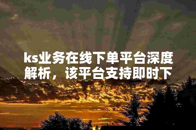 ks业务在线下单平台深度解析，该平台支持即时下单，订单处理迅速且高效，是2025年不可或缺的学习资源。