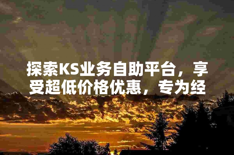 探索KS业务自助平台，享受超低价格优惠，专为经验丰富的用户设计。