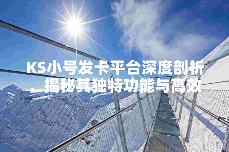 KS小号发卡平台深度剖析，揭秘其独特功能与高效使用技巧，2025年必备知识！