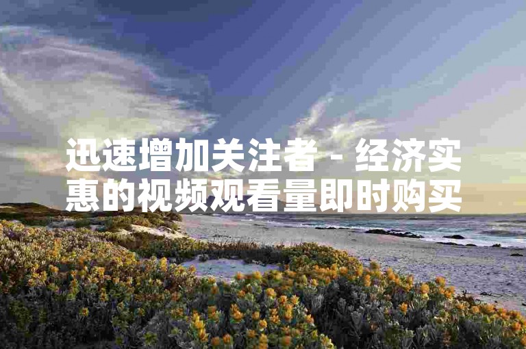 迅速增加关注者 - 经济实惠的视频观看量即时购买