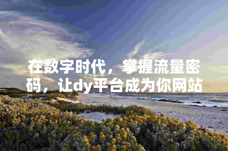 在数字时代，掌握流量密码，让dy平台成为你网站曝光的加速器！