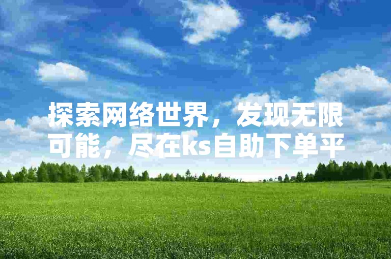 探索网络世界，发现无限可能，尽在ks自助下单平台网站。