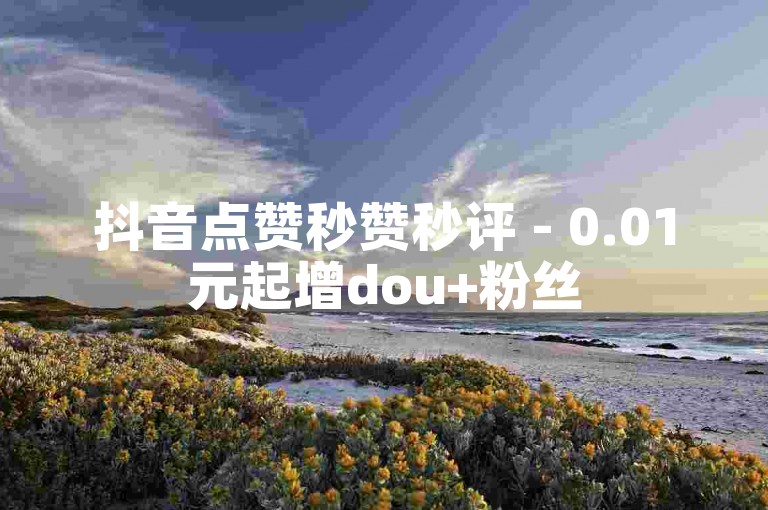 抖音点赞秒赞秒评 - 0.01元起增dou+粉丝