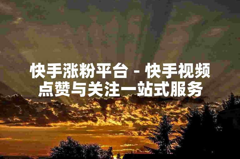 快手涨粉平台 - 快手视频点赞与关注一站式服务