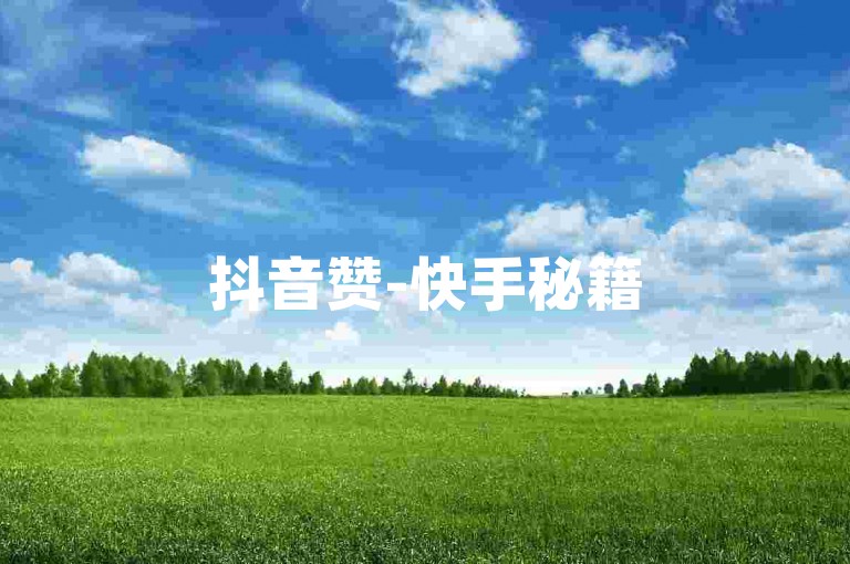 抖音赞-快手秘籍