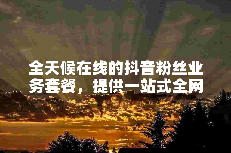 全天候在线的抖音粉丝业务套餐，提供一站式全网自助下单服务。