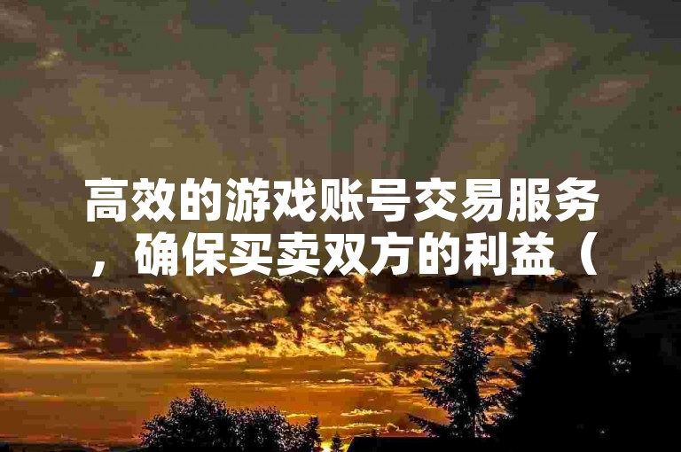 高效的游戏账号交易服务，确保买卖双方的利益（提供便捷的游戏账号交易环境，保障交易的安全性）
