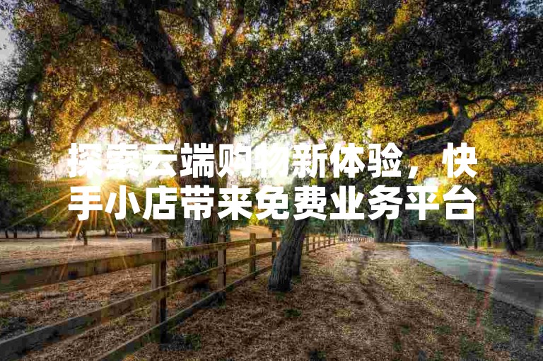 探索云端购物新体验，快手小店带来免费业务平台，搭配拼多多现金大转盘助力网站，尽享KS业务免费领取的优惠。
