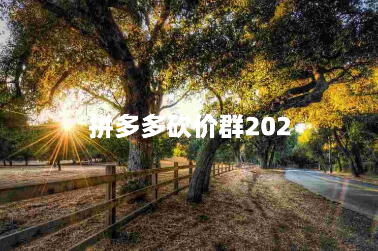 拼多多砍价群2025年最新版本下载链接{互助赢好礼}。
