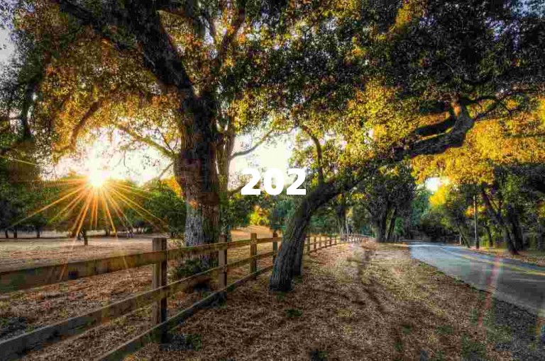 2025年，拼多多的免费互助微信群以及砍价网站成为了众多用户热议的话题。