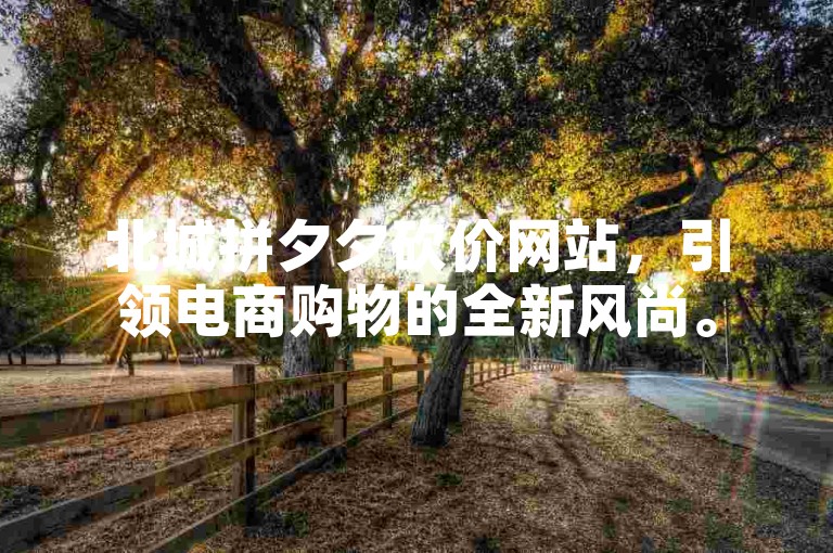 北城拼夕夕砍价网站，引领电商购物的全新风尚。