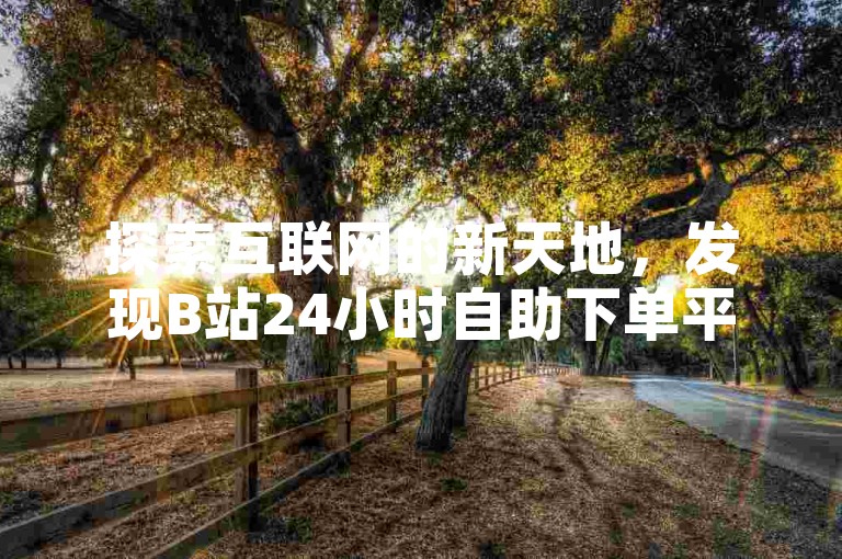 探索互联网的新天地，发现B站24小时自助下单平台的便捷与高效。