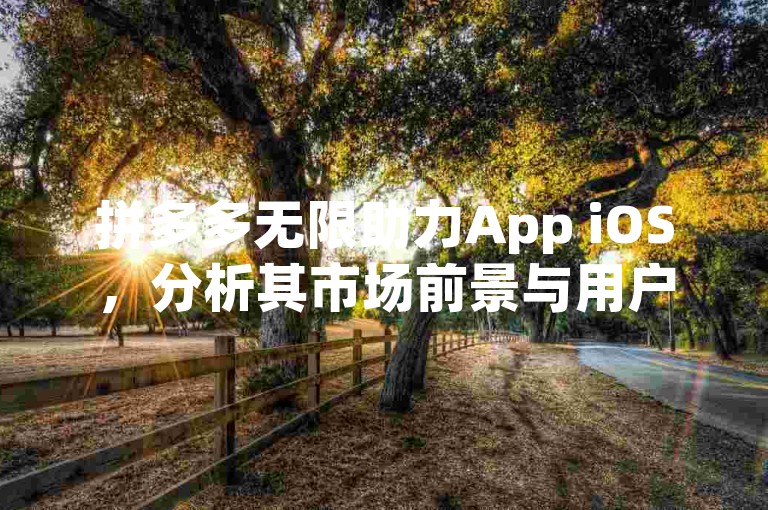 拼多多无限助力App iOS，分析其市场前景与用户反馈。