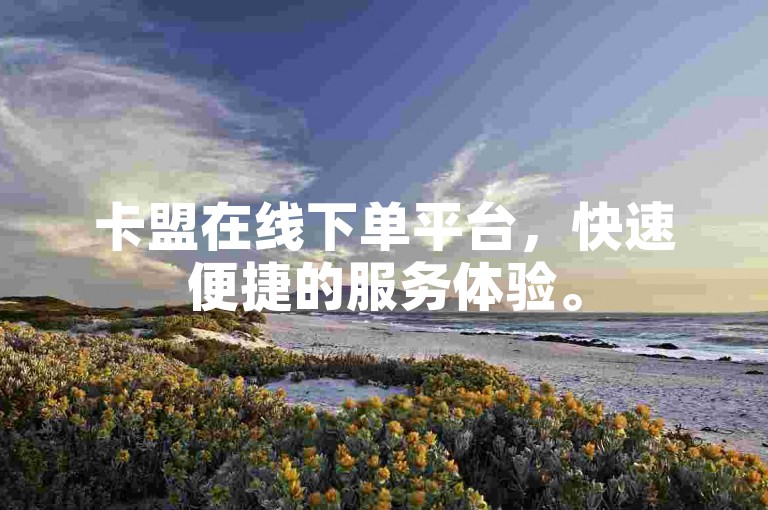 卡盟在线下单平台，快速便捷的服务体验。