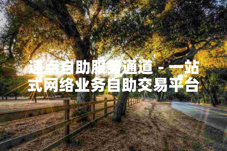 速点自助服务通道 - 一站式网络业务自助交易平台