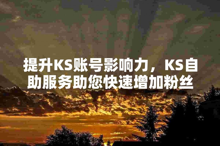 提升KS账号影响力，KS自助服务助您快速增加粉丝。