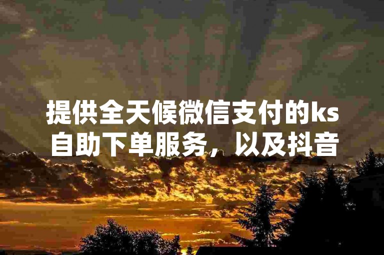 提供全天候微信支付的ks自助下单服务，以及抖音业务代理平台，云小店实现24小时不间断自助下单，同时还有Qq空间秒赞插件供您使用。