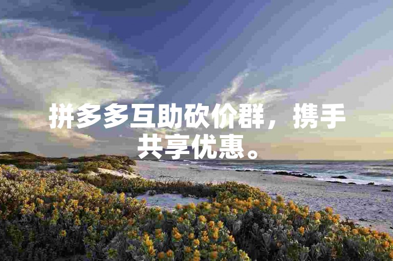 拼多多互助砍价群，携手共享优惠。