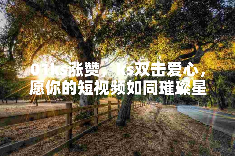 01ks涨赞，ks双击爱心，愿你的短视频如同璀璨星辰，在夜空中绽放独特光芒。