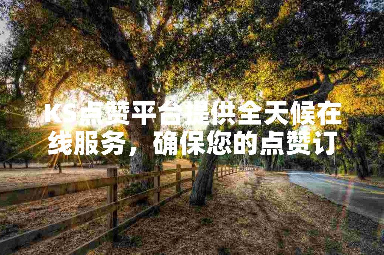 KS点赞平台提供全天候在线服务，确保您的点赞订单在下单后秒速到账。