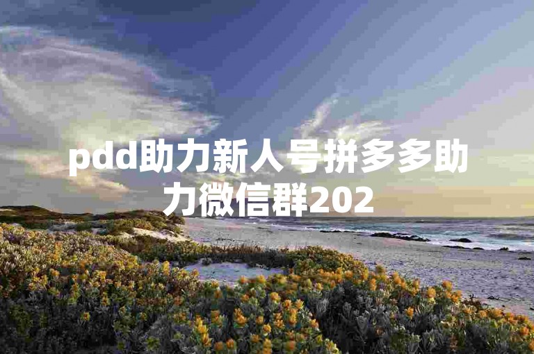 pdd助力新人号拼多多助力微信群2025