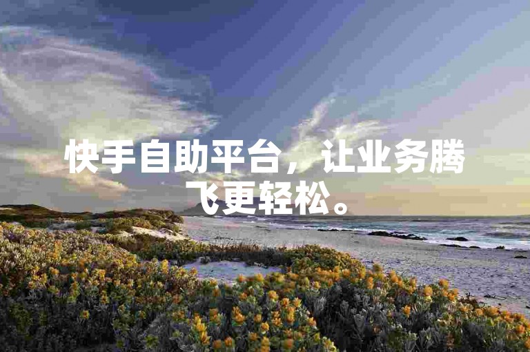 快手自助平台，让业务腾飞更轻松。