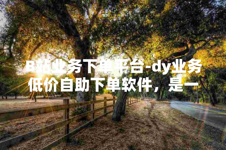 B站业务下单平台-dy业务低价自助下单软件，是一款专为B站用户设计的便捷工具。