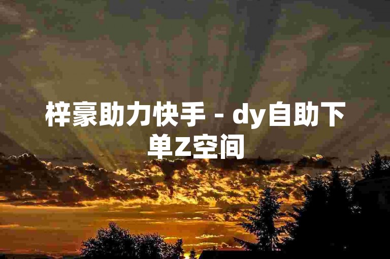 梓豪助力快手 - dy自助下单Z空间
