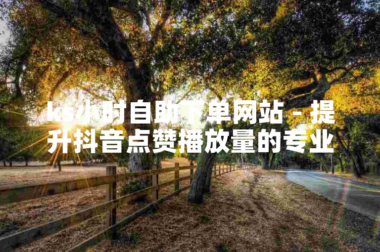 ks小时自助下单网站 - 提升抖音点赞播放量的专业平台