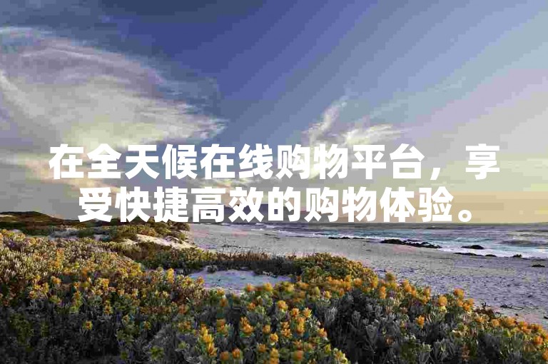 在全天候在线购物平台，享受快捷高效的购物体验。