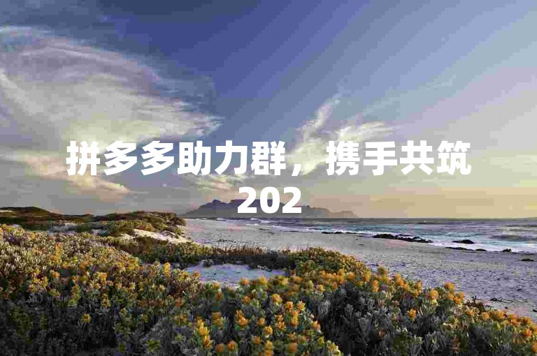 拼多多助力群，携手共筑2025互助新未来。